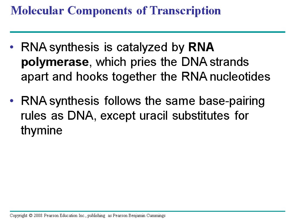 Molecular Components of Transcription RNA synthesis is catalyzed by RNA polymerase, which pries the